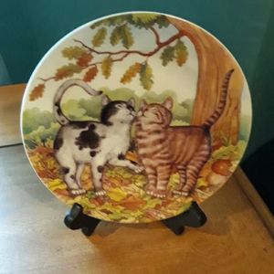 Cat plate